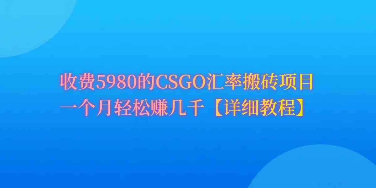 （9776期）CSGO装备搬砖，月综合收益率高达60%，你也可以！-沐涵网络科技
