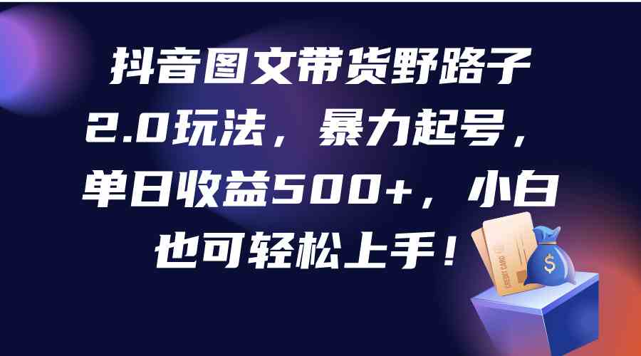 （9790期）抖音图文带货野路子2.0玩法，暴力起号，单日收益500+，小白也可轻松上手！-沐涵网络科技