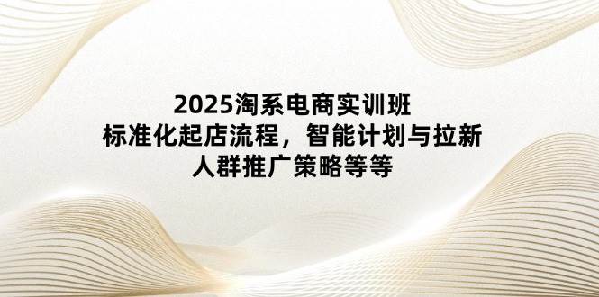 （14522期）2025淘系电商实训班：标准化起店流程，智能计划与拉新，人群推广策略等等-沐涵网络科技