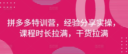 拼多多特训营，经验分享实操，课程时长拉满，干货拉满(更新25年4月)-沐涵网络科技