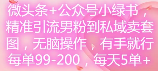 微头条+公众号小绿书，精准引流男粉到私域卖套图，无脑操作，有手就行，每单99-200，每天5单-沐涵网络科技