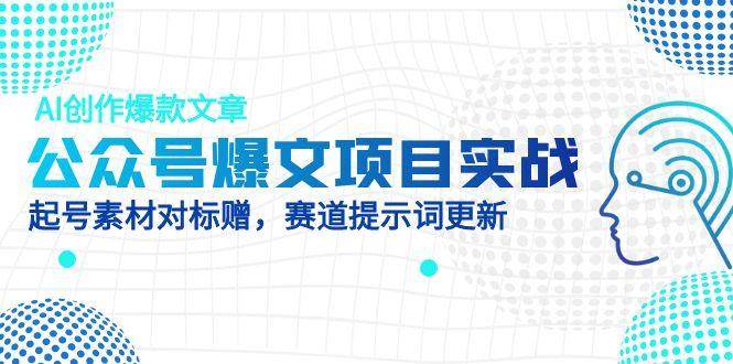 （14709期）公众号爆文项目实战，AI创作爆款文章，起号素材对标赠（附赛道AI提示词）-沐涵网络科技