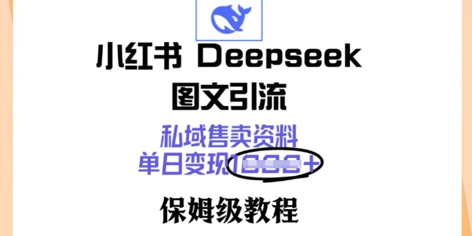 小红书Deepseek图文引流，私域售卖资料，单日变现多张，保姆级教程-沐涵网络科技
