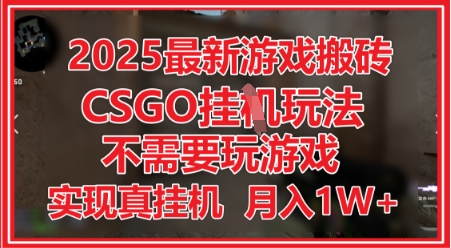 2025最新游戏搬砖，CSGO挂G，不需要玩游戏，实现真挂G，月入1W+【揭秘】-沐涵网络科技