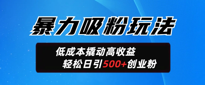 暴力吸粉玩法，日引500+精准创业粉，日变现轻松多张-沐涵网络科技