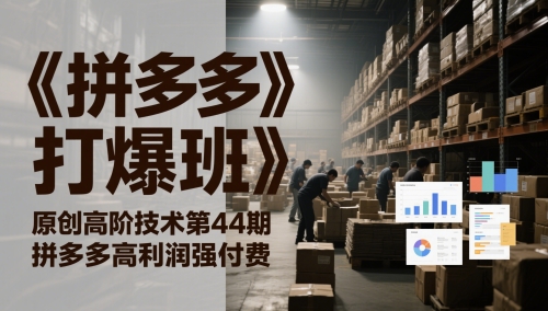 《拼多多打爆班》原创高阶技术第44期，拼多多高利润强付费-沐涵网络科技