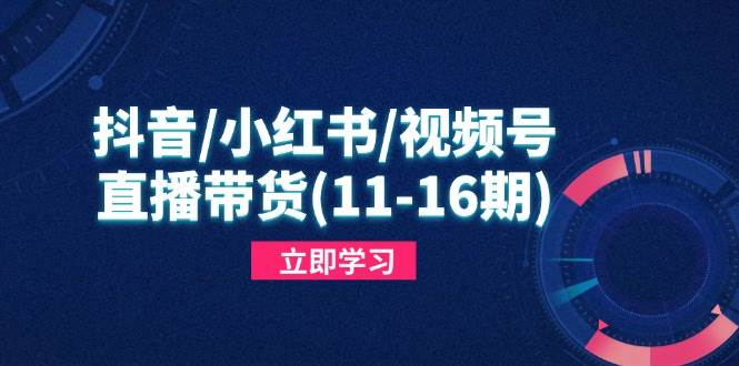 （14611期）抖音/小红书/视频号/直播带货(11-16期)，快速掌握平台规则，打造爆款内容-沐涵网络科技