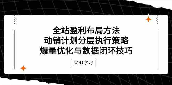 全站盈利布局方法：动销计划分层执行策略，爆量优化与数据闭环技巧-沐涵网络科技