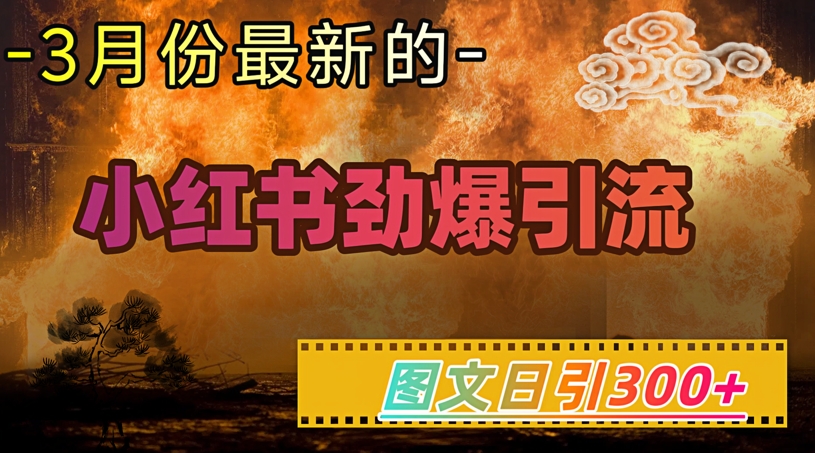 小红书超劲爆引流手段，图文日引300+轻松变现1W-沐涵网络科技