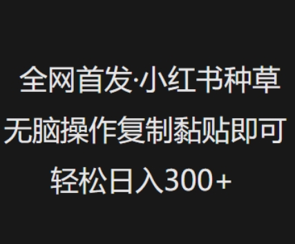 全网首发，小红书种草无脑操作，复制黏贴即可，轻松日入3张-沐涵网络科技