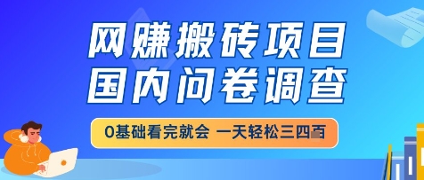 网创搬砖项目，国内问卷调查，小白轻松上手，一天三四张的也不难，干就完了【揭秘】-沐涵网络科技