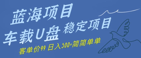 蓝海项目车载U盘稳定项目，挣的就是信息差，客单价99，日入几张简简单单-沐涵网络科技