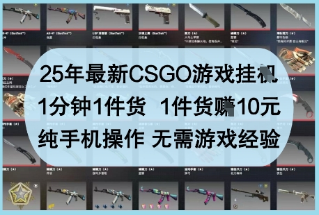 25年最新CSGO游戏挂G，1分钟1件货，1件货挣10元，纯手机操作，无需游戏经验【揭秘】-沐涵网络科技