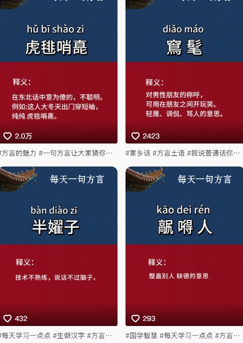 抖音最新涨粉玩法，图文方言暴力涨粉实操，126作品涨粉11W-沐涵网络科技