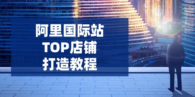 （14269期）阿里国际站TOP店铺打造教程：涵盖平台到高阶，解决运营难题，提升询盘-沐涵网络科技