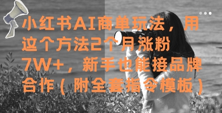 小红书AI商单玩法，用这个方法2个月涨粉7W+，新手也能接品牌合作(附全套指令模板)-沐涵网络科技
