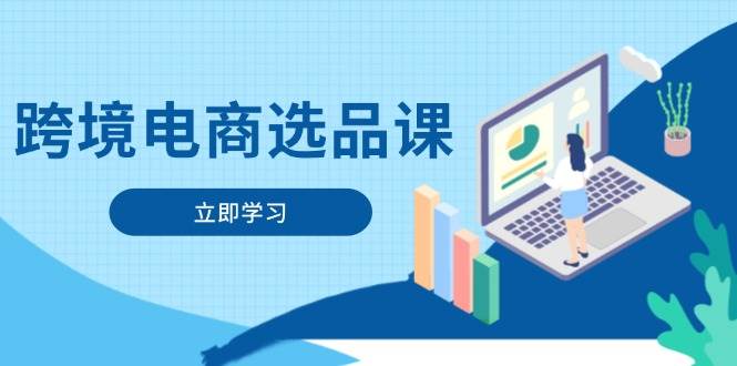 （14547期）跨境电商选品课：涵盖电动滑板车、健康医疗、电子游戏、厨房用品、宠物等-沐涵网络科技