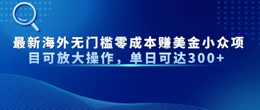 （14542期）最新海外无门槛零成本赚美金小众项目可放大操作，单日可达300+-沐涵网络科技