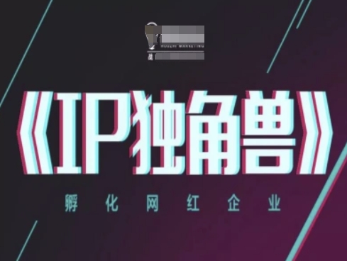 IP独角兽，孵化网红企业，ip教程-沐涵网络科技