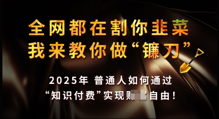 知识付费如何做到月入过W+，2025我来教你做“镰刀”【揭秘】-沐涵网络科技
