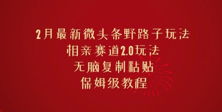 2月最新微头条野路子玩法，相亲赛道2.0玩法，无脑复制粘贴，保姆级教程-沐涵网络科技