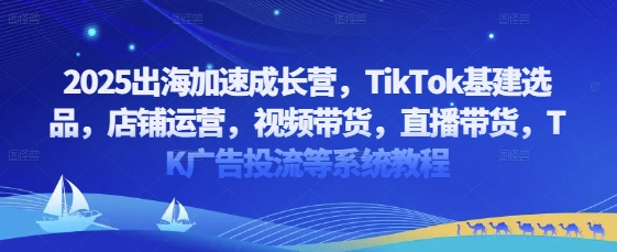 2025出海加速成长营，TikTok基建选品，店铺运营，视频带货，直播带货，TK广告投流等系统教程-沐涵网络科技