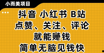 小而美的项目，抖音小红书B站视频点赞、关注、评论就能挣钱，简单无脑立见收益，妥妥的零撸项目【揭秘】-沐涵网络科技