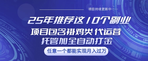 25年推荐这10个副业项目包含褂鸡类、代运营托管类、全自动打金类【揭秘】-沐涵网络科技