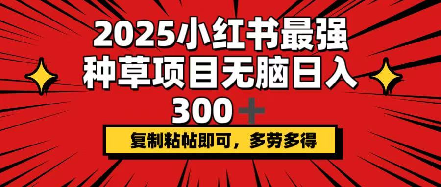（14375期）2025小红书最强种草项目，无脑日入300+，复制粘帖即可，多劳多得-沐涵网络科技