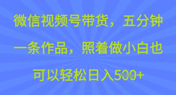 微信视频号带货，五分钟一条作品，照着做小白也可以轻松日入5张-沐涵网络科技