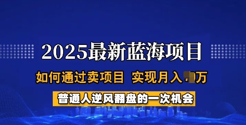 2025蓝海项目，普通人如何通过卖项目，实现月入过W，全过程【揭秘】-沐涵网络科技