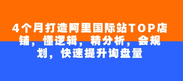 4个月打造阿里国际站TOP店铺，懂逻辑，精分析，会规划，快速提升询盘量-沐涵网络科技