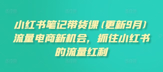 小红书笔记带货课(更新25年4月)流量电商新机会，抓住小红书的流量红利-沐涵网络科技