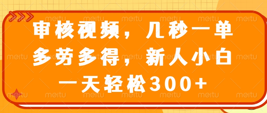 （14294期）审核视频，几秒一单，多劳多得，新人小白一天轻松300+-沐涵网络科技
