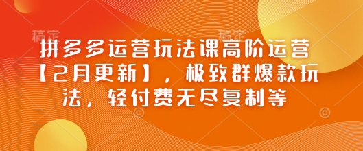 拼多多运营玩法课高阶运营【2月更新】，极致群爆款玩法，轻付费无尽复制等-沐涵网络科技