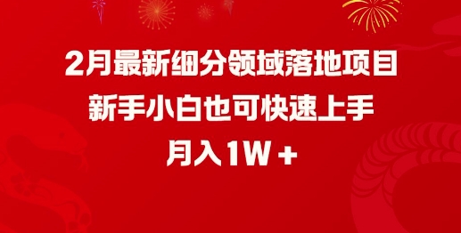 2月最新细分领域落地项目，新手小白也可快速上手，月入1W-沐涵网络科技