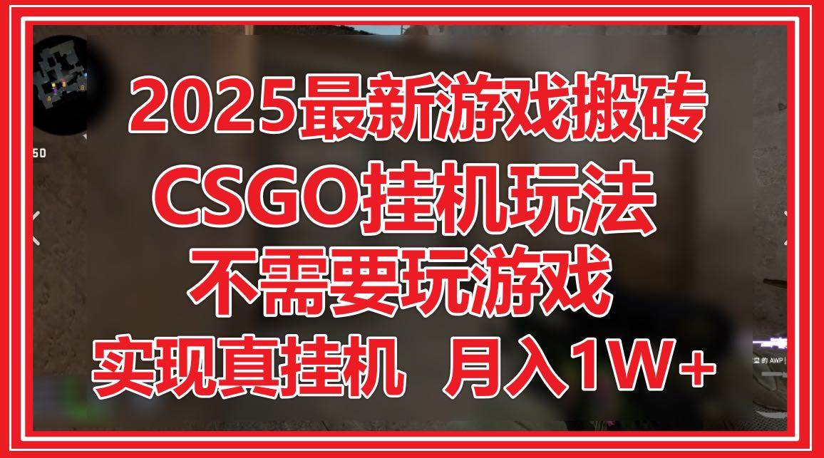 （14743期）2025最新游戏搬砖，CSGO挂机，不需要玩游戏，实现真挂机，月入1W+-沐涵网络科技