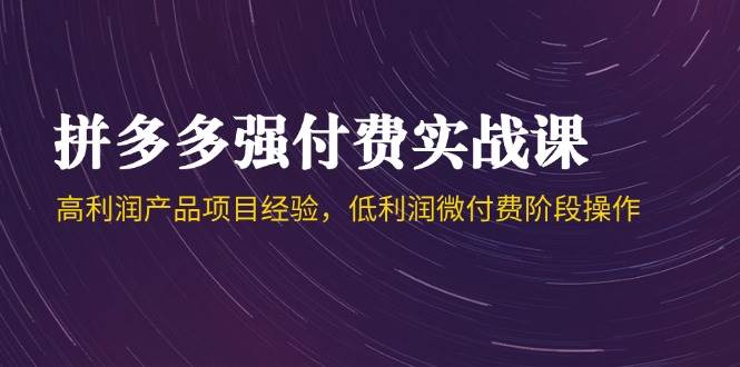（14874期）拼多多强付费实战课-44期，高利润产品项目经验，低利润微付费阶段操作-沐涵网络科技
