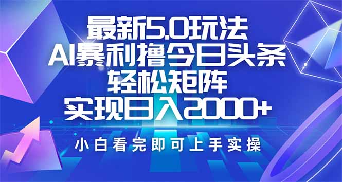 （14336期）今日头条最新5.0玩法，思路简单，复制粘贴，轻松实现矩阵日入2000+-沐涵网络科技