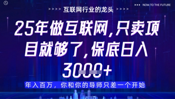 什么！25年你还在找项目做？风口早就变了，卖项目才是稳挣不赔【揭秘】-沐涵网络科技