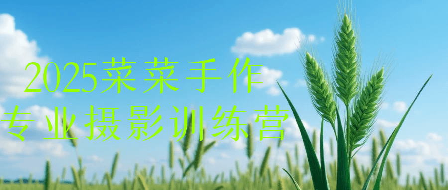 2025菜菜手作专业摄影训练营-沐涵网络科技