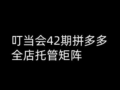叮当会拼多多打爆班原创高阶技术第42期，拼多多全店托管矩阵-沐涵网络科技
